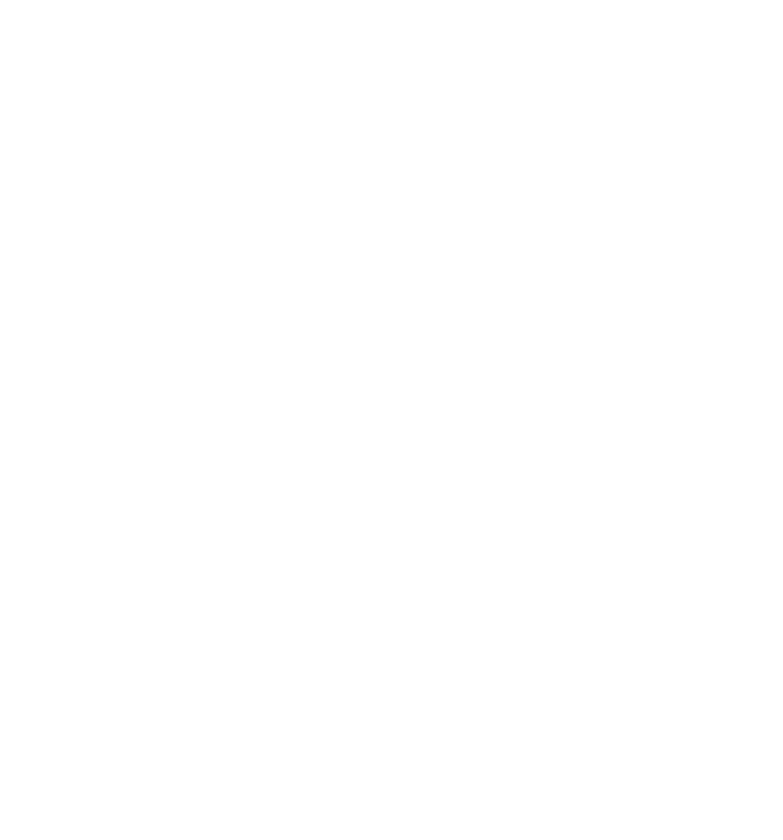 safe-city-logo-wh